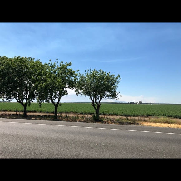 Meet your Posher, C - Picture 1 of 1